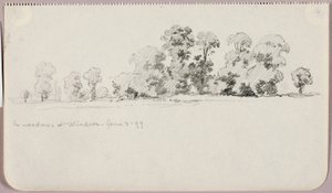 In the Meadows at Windsor by George Elbert Burr