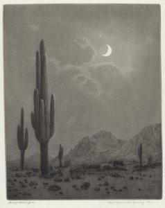 New Moon and Evening Star