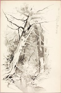 Oak Cliff, Dallas by George Elbert Burr