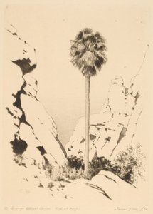 Palm Canyon by George Elbert Burr
