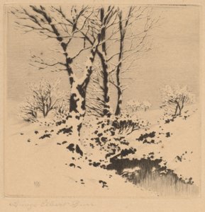 Snow by George Elbert Burr