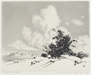 Summer Cloud, Apache Trail, Arizona