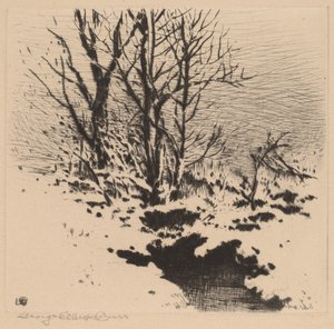 The First Snow (no.2) by George Elbert Burr