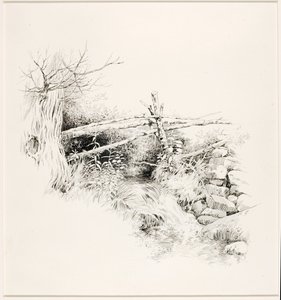 Untitled (Woodland Stream) by George Elbert Burr