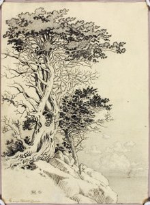 Untitled (drawing for print) by George Elbert Burr