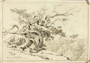 Untitled (transfer drawing for Evening, Apache Trail, Arizona) by George Elbert Burr