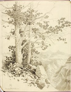 Untitled (transfer drawing for print) by George Elbert Burr