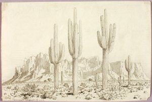 Untitled by George Elbert Burr
