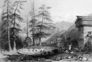 Village of Koghera and Deodar Forest, near the Choor, 1838 by George Francis White