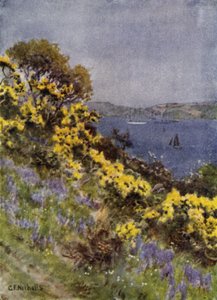 The Banks of the Fal, Falmouth