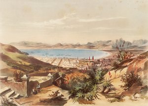 Cape Town by George French Angas
