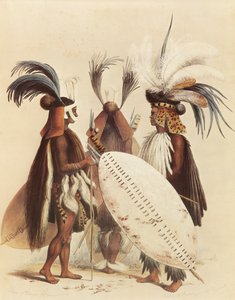The Zulu army