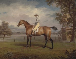 Portrait of a Racehorse, Possibly Disguise, the Property of the Duke of Hamilton, with Jockey Up by George Garrard