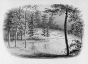 A Brook from Hosack Album by George Harvey