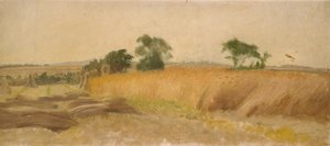 Study of a Cornfield by George Heming Mason