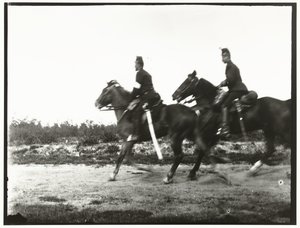 Yellow Riders of the Horse Artillery