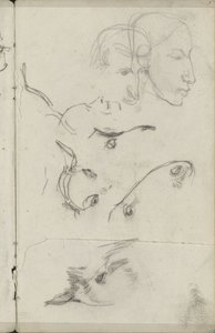 Heads of Horses and People