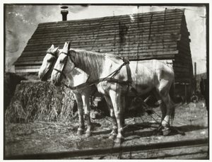 Horses on the Cruquiusweg by George Hendrik Breitner