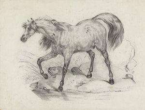 Standing Horse, Facing Left by George Hendrik Breitner