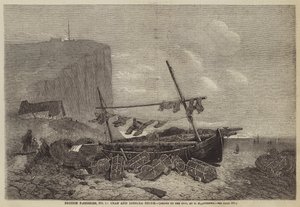 British Fisheries, No 5, Crab and Lobster Shore
