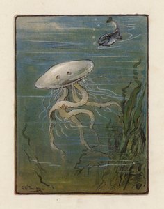 The Jellyfish