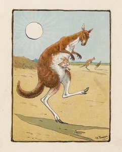 The Kangaroo