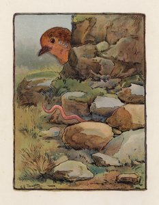 The Worm by George Henry Thompson