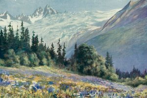 Campanula and Other July Flowers on the Col Des Montets