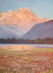 Evening Among the Fields of Pink Bistort at Lac Champex; Sunset-Glow on the Grand Combin, July