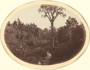 Landscape near Williams College