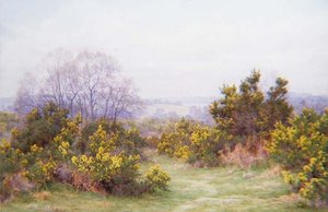 A Surrey Common by George Marks