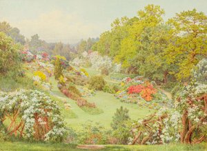 Spring Blooms by George Marks