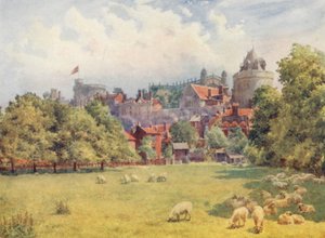 The Castle from the Fields