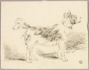 Shepherd Dog by George Morland
