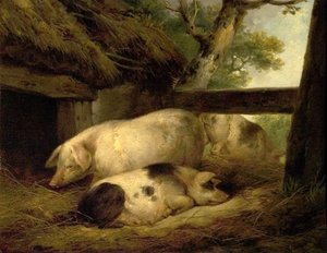 Study of Pigs by George Morland
