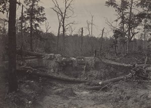Battle Field of New Hope Church, Georgia No. 2, 1860s by George N. Barnard