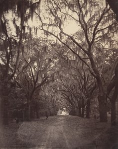 Bonaventure Cemetery, Four Miles from Savannah, 1866