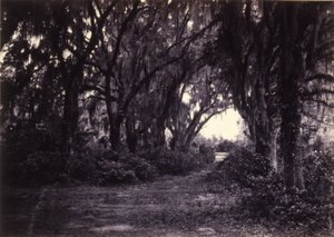 Bonaventure, Savannah, Georgia