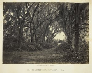 Buen-Ventura Savannah, Ga. by George N. Barnard