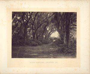 Buen-Ventura, Savannah, Georgia by George N. Barnard