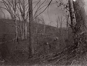 Bull Run, Virginia, 1861-62 by George N. Barnard