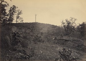 Pine Mountain