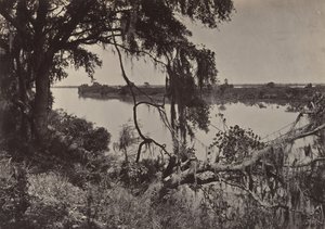 Savannah River, Near Savannah, Georgia