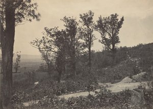 The Crest of Mission Ridge