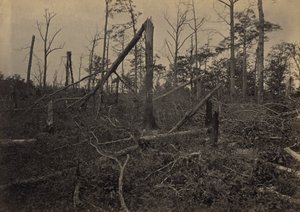 The "Hell Hole" New Hope Church, Georgia by George N. Barnard