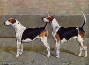The Puckeridge Foxhounds Colonist and Cardinal by George Paice
