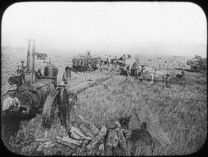 Harvest Scene on the North American Prairies, Late 19th or Early 20th Century