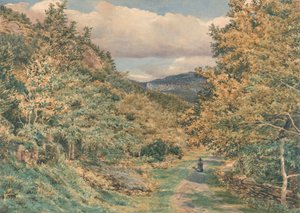 A Road Near Bettws-y-Coed by George Price Boyce