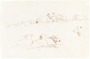 Studies of Sheep in Pasture by George Richmond