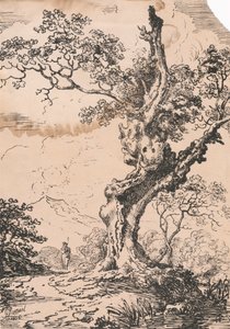 Man and large tree in landscape by George Samuel